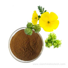 Tribulus Terrestris Extract Capsule